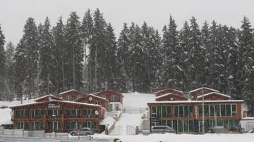 Фото Отель Chalet Kokhta г. Бакуриани 1