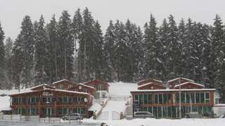 Фото Отель Chalet Kokhta г. Бакуриани